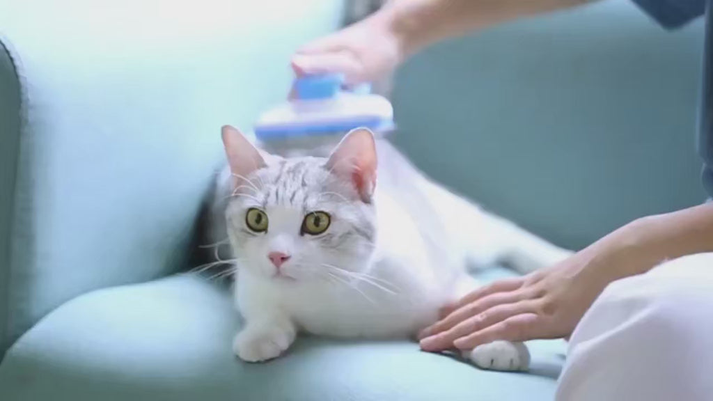 Self Cleaning Pet Grooming Brush | Dog & Cat Deshedding Slicker Brush