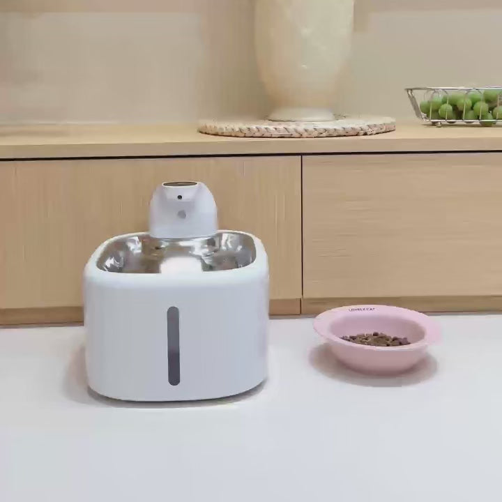 Automatic Pet Water Fountain | USB Electric Cat & Dog Water Dispenser