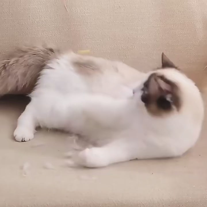Reusable Pet Hair Remover Roller | Furniture & Carpet Fur Cleaner